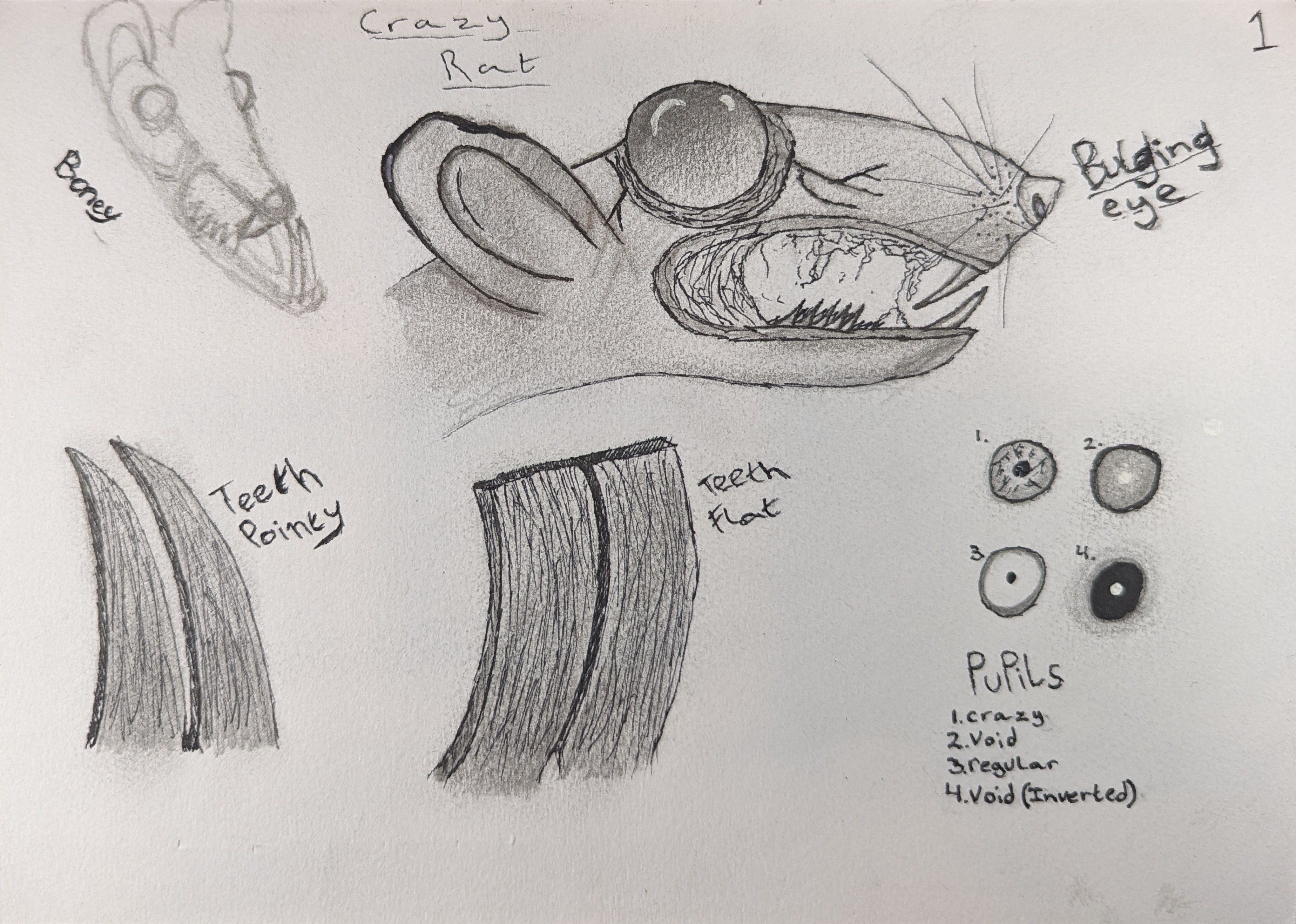 Crazy Rat design sketch