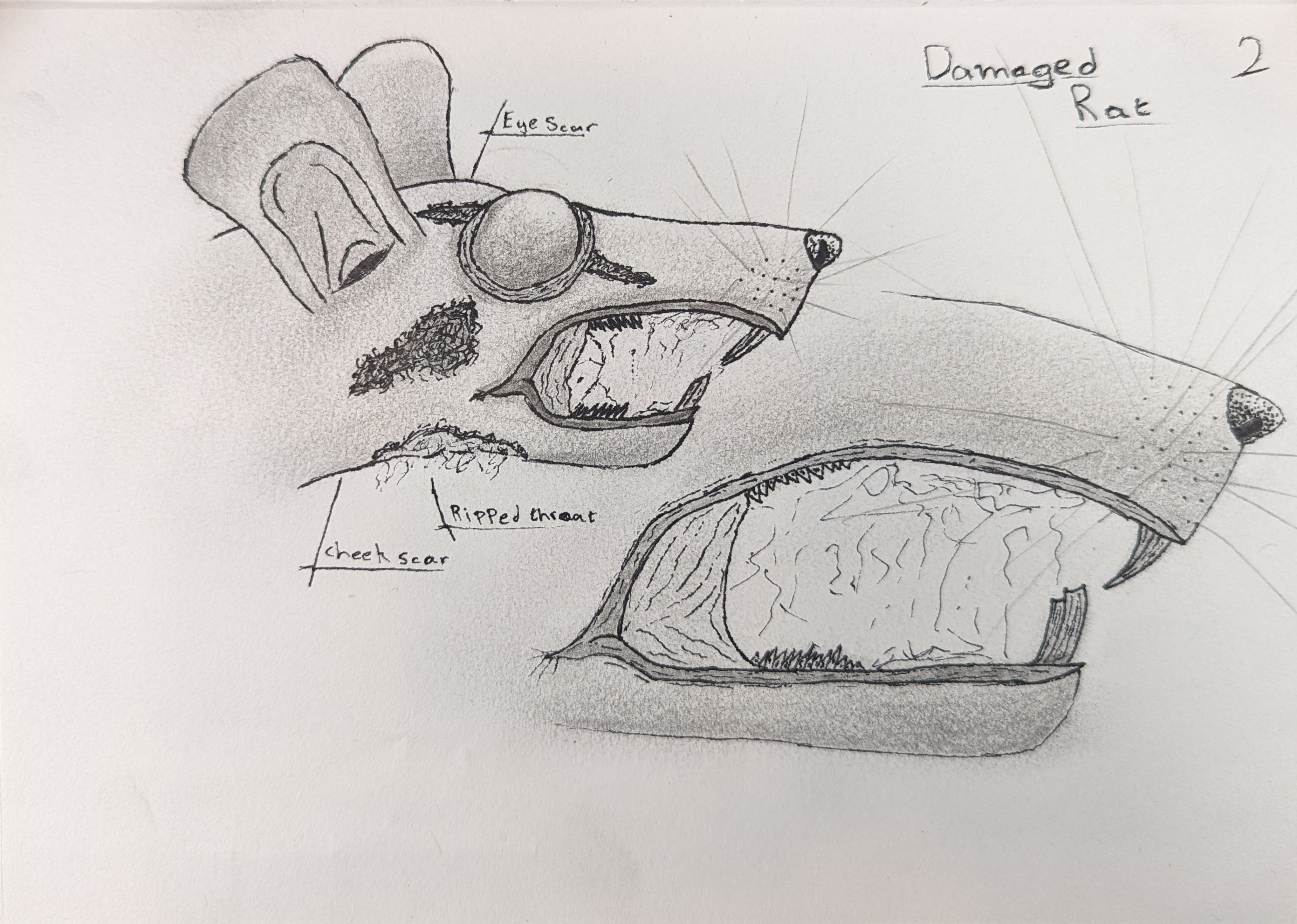 Damaged Rat design sketch