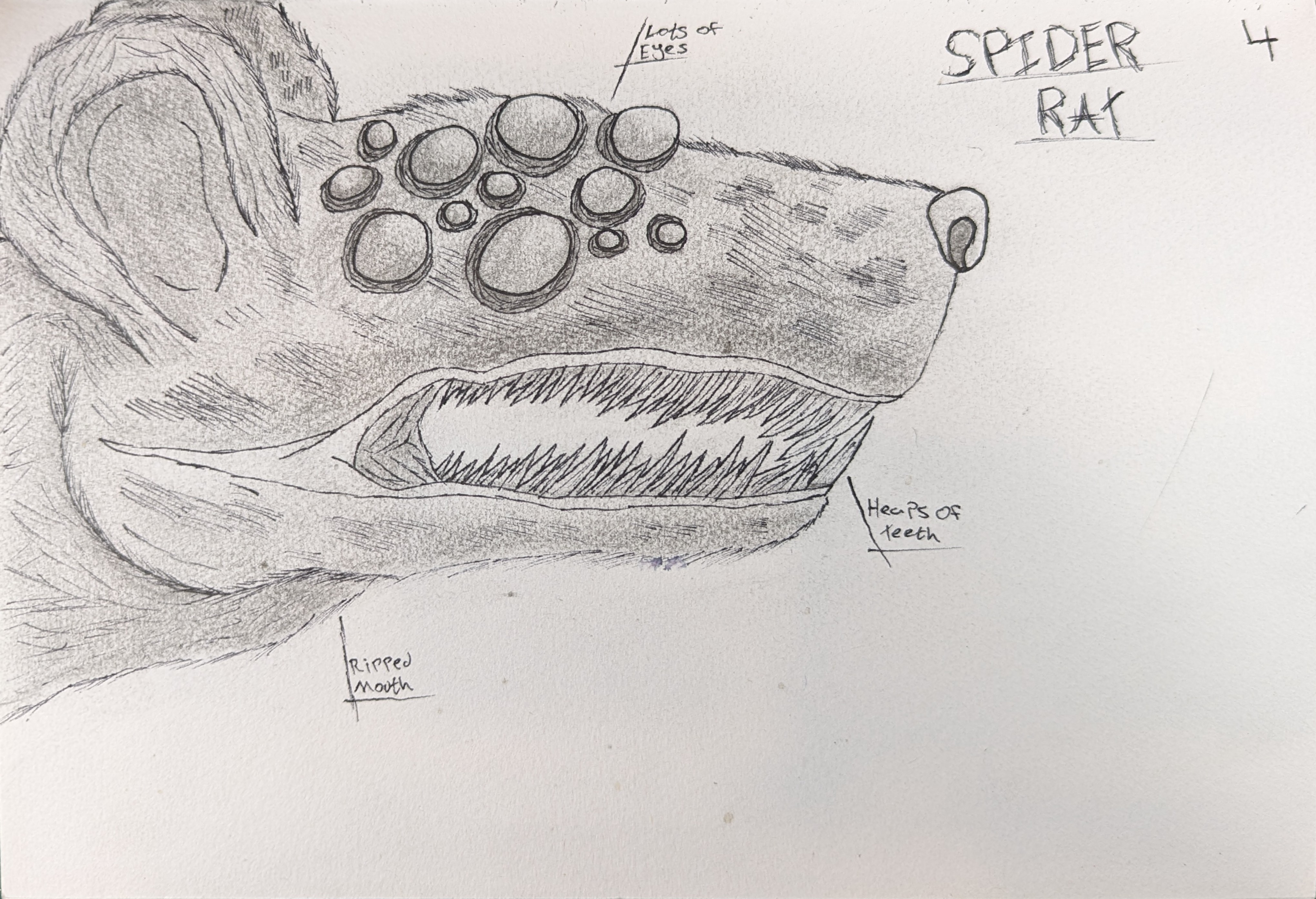Spider Rat design sketch